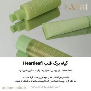 ست روتین پوستی دومرحله‌ای تسکین بخش سری هارت لیف (برگ قلبی) ابیب | Abib Heartleaf Calming 2-step set