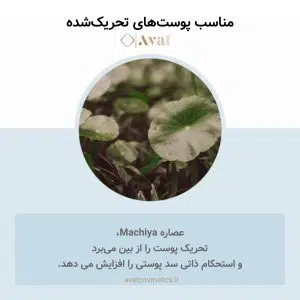 سرم آمپول آبرسان سنتلا ماداگاسکار هیالو سیکا اسکین 1004 | Madagascar Centella Hyalu-Cica First Ampoule