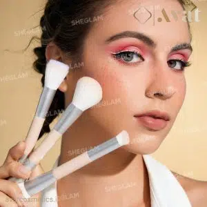ست براش ۳ عددی شیگلم