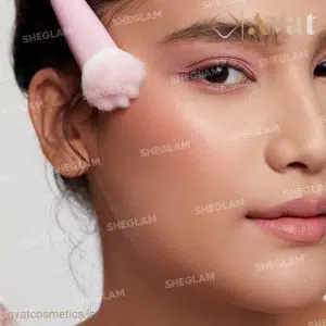 براش رژگونه شیگلم