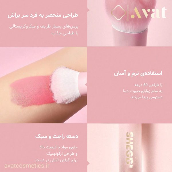 براش رژگونه شیگلم