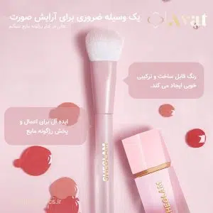 براش رژگونه شیگلم