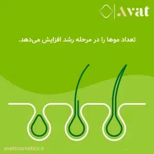تقویت موهای نازک با کپسول پریورین طرح جدید