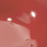 ROSY CORAL