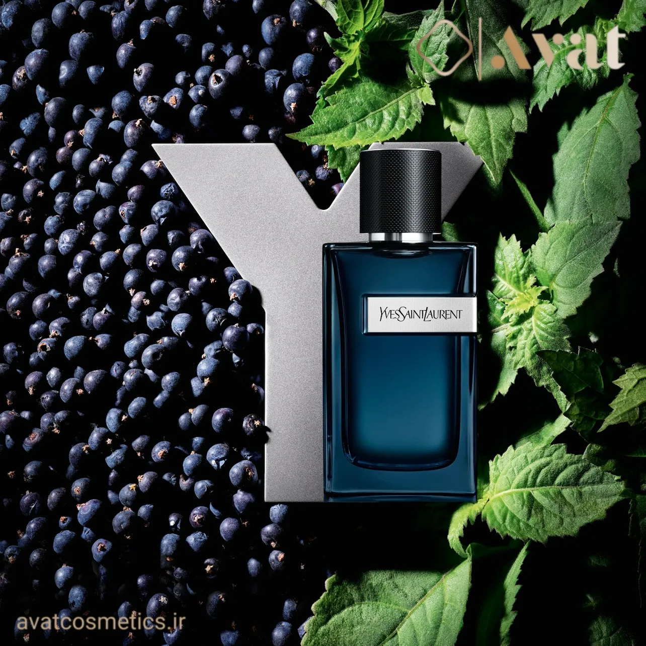 عطر Yves Saint Laurent Y