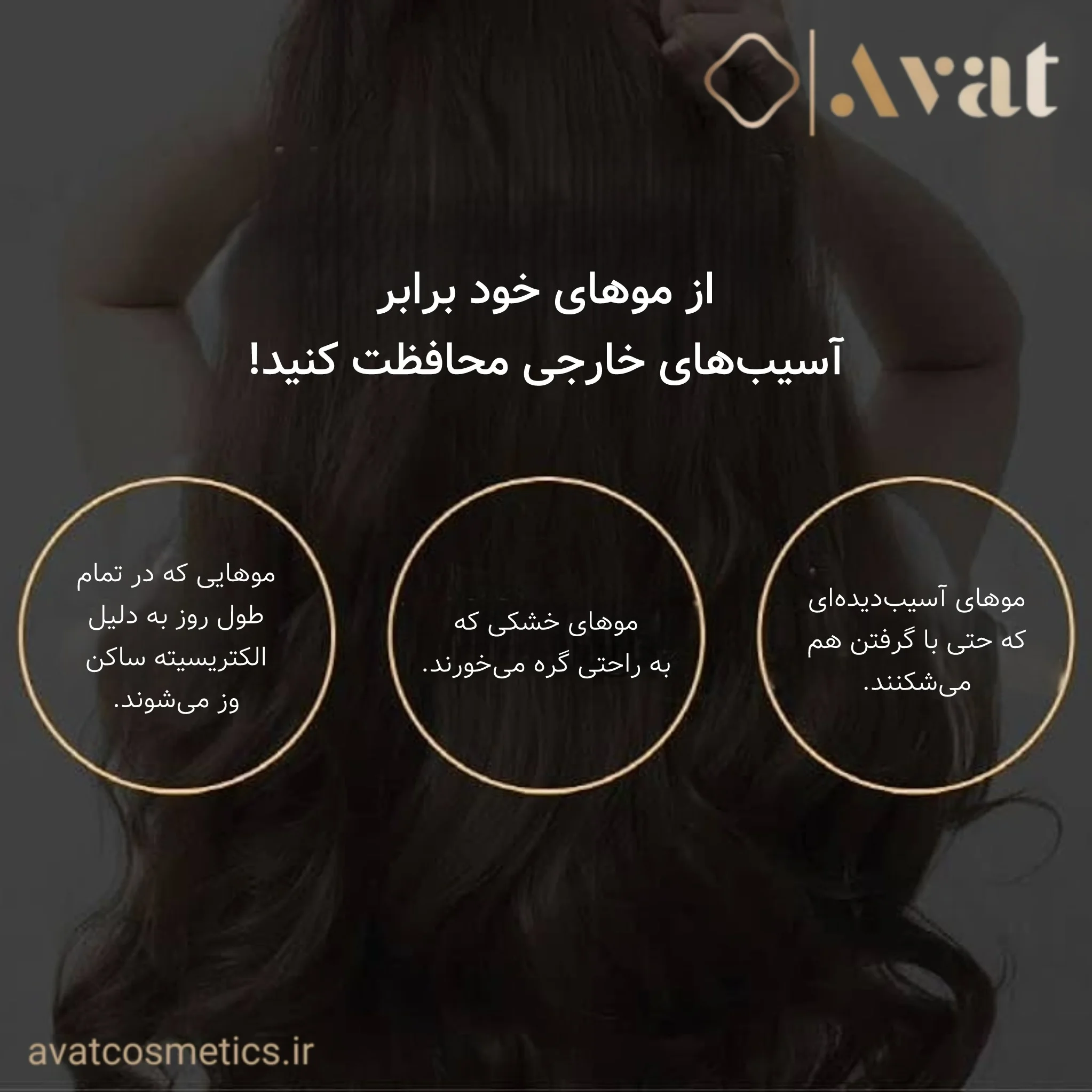 روغن آرگان ریپ