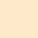 1R/1C_COOL ROSE