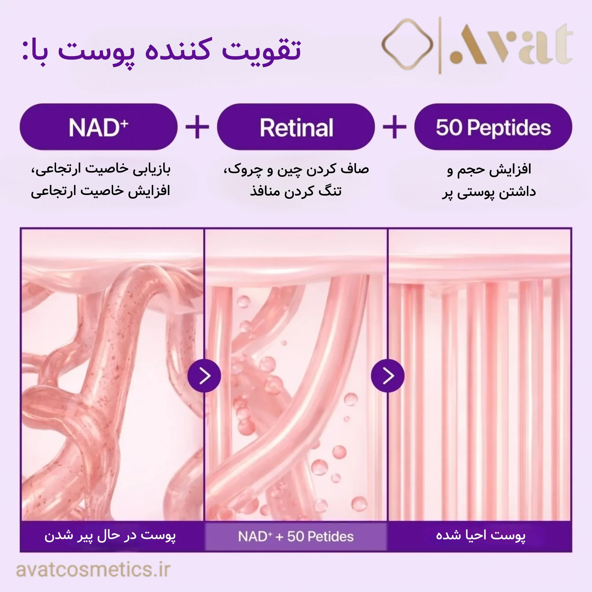 کرم دور چشم NAD و رتینال نامبوزین